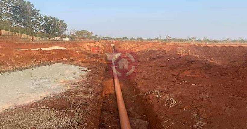 SMG Silver Palms Cover Image